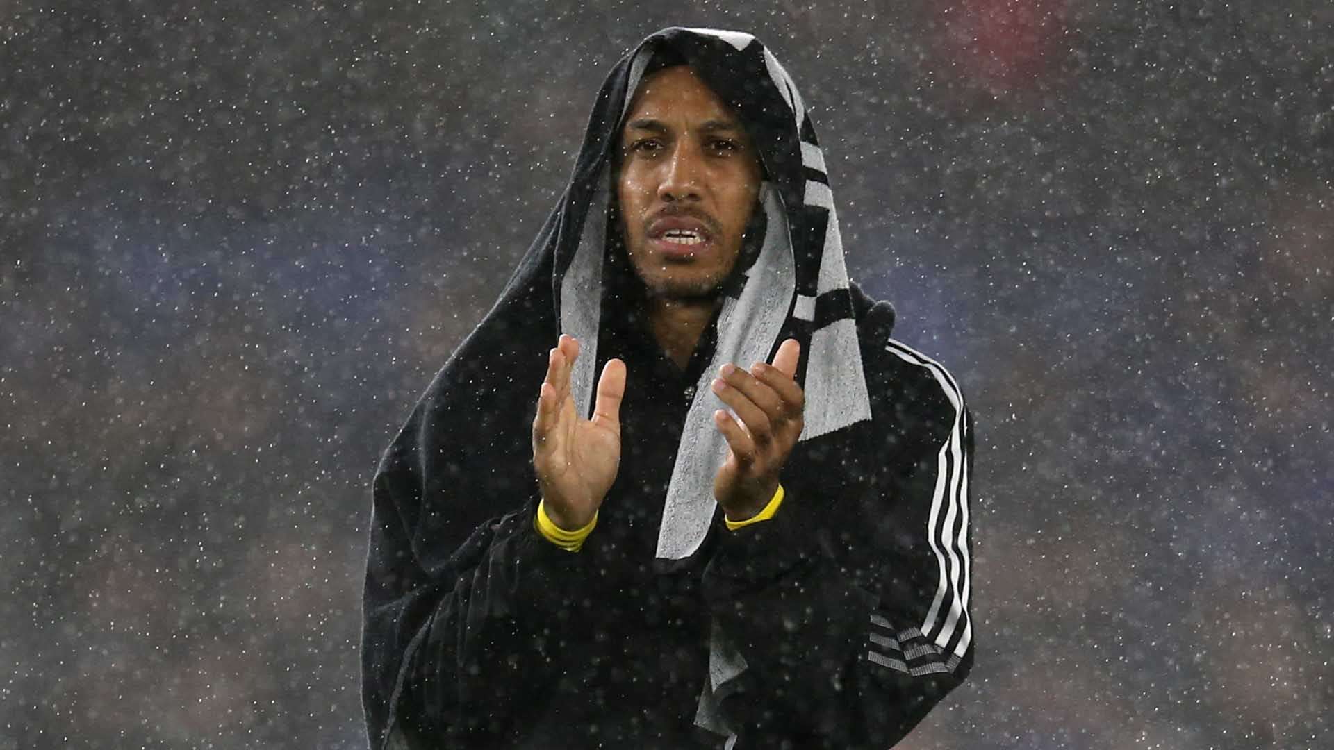 不少球迷对 不少球迷对