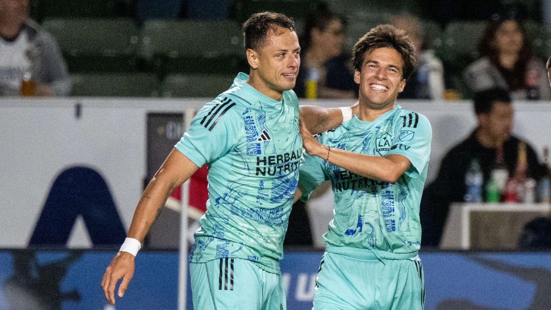 這項旨在提 這項旨在提